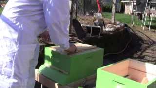 Bee Vlog 1  April 7 2012  Part 1 Hive pieces [upl. by Arenat694]