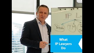 What Do IP Lawyers Do [upl. by Christen]