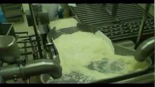 Haloumi cheese production line [upl. by Henriha]