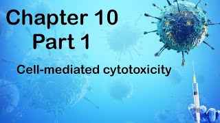 Chapter 10  Part 1 Cellmediated cytotoxicity [upl. by Aletsirc108]