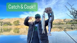 Fishing Sandy Wool Lake Catch amp Cook bankfishing california fishing fish bayarea lake new [upl. by Ynohtnakram]