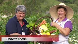 SC Agricultura Produção de açaí no norte de Santa Catarina [upl. by Salohci]