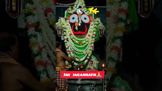 Dekho Jagannath kitna pyara Hai Aloukik Drusya jayjagannath jagannath 🙏 [upl. by Dawna]