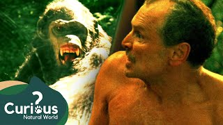 Eaten Alive By Chimpanzee Womans Face Ripped Off By Travis The Chimp amp 911 Audio [upl. by Keller]