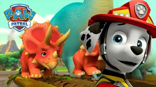 De Pups redden Dino Wilds van een vulkaanuitbarsting en meer  PAW Patrol Nederlands [upl. by Illil]