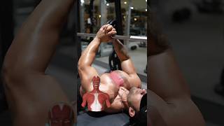 INNER CHEST WORKOUT  Targeted Exercise for a Stronger Chest [upl. by Nodyroc]