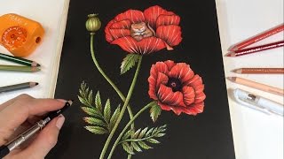 Poppy Love  Vivi Söker En Vän  Maria Trolle Coloring Book [upl. by Yelrahs]