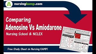 What is the difference Amiodarone Adenosine Cardiac Med Nursing KAMP NCLEX 2019 ICU [upl. by Orodisi]