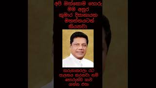 අපි ඔක්කොම හොරු මම අනුර කුමාර මහත්තයටත් කියනවා රට පාලනය කරනවා නම් හොරුන්ව ගාව ගන්න එපා [upl. by Ahsuatal]