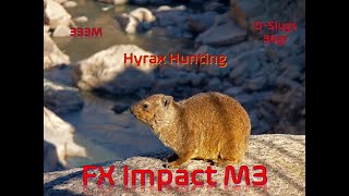 FX Impact M3  Hyrax Hunting at 333m [upl. by Aiuqcaj]