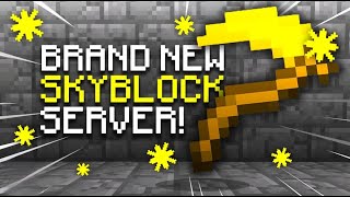 BRAND NEW SKYBLOCK SERVER OF 2024  Minecraft Skyblock  18  121 [upl. by Yetnruoc]