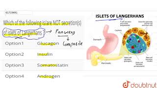 Which of the following isare NOT secretions of islets of Langerhans [upl. by Ailey]