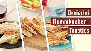 Dreierlei FlammkuchenToasties [upl. by Amre]