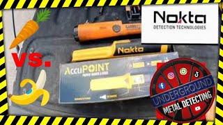 Nokta Accupoint Garrett ProPointer AT  Pinpointer review and In Depth Comparison  🍌 vs 🥕 [upl. by Jegar929]