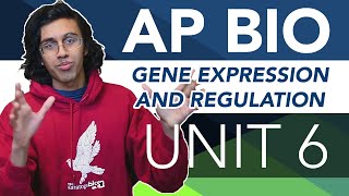 AP Biology Unit 6 Crash Course Gene Expression and Regulation [upl. by Katzir]