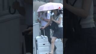 Some tourists left stranded after Typhoon Shanshan hits Japan [upl. by Atiuqahs]