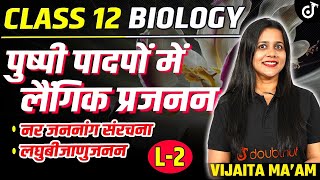 Sexual Reproduction in Flowering Plants L2 Class 12 Biology पुष्पी पादपों में लैंगिक प्रजनन [upl. by Arhoz]