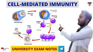 Cell Mediated Immunity  Blood Physiology MBBS  BDS  BMLT  DMLT  Nursing lecturers [upl. by Agata]