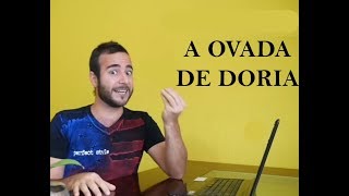 O PONTO DE VISTA DO AUTOR  PARTE 2 [upl. by Navinod]