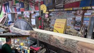 sawing hard amp soft maple logs with Pete  615 [upl. by Akeenahs303]