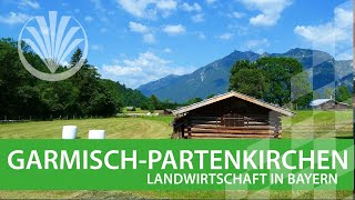 Landwirtschaft in Bayern Landkreis Garmisch  Partenkirchen in Oberbayern [upl. by Zealand]