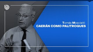 Comentario de Tomás Mosciatti Caerán como palitroques [upl. by Leone81]