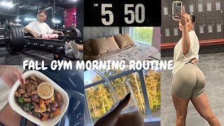 realistic 5am fall gym morning routine [upl. by Atikehs]