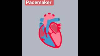 what is pacemaker pacemaker pacing device [upl. by Eneiluj]