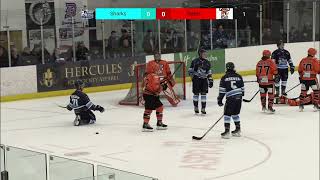 Solway Sharks Vs Telford Tigers 30th Dec 2023 HIGHLIGHTS [upl. by Tandi]