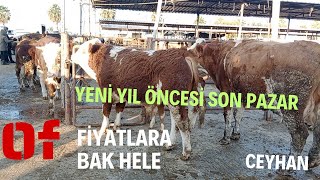 27 ARALIK 2023 CEYHAN BÜYÜKBAŞ HAYVAN PAZARI holstein dana adak simental kurban [upl. by Eusadnilem]