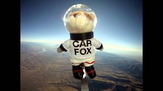 CAR FOX at 90000 Feet  Sets Record for Highest NearSpace Jump for a Fox [upl. by Bobine981]