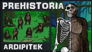 Ardipitek  Najstarszy Przodek Człowieka  Prehistoria  Odc1  Historia na Szybko [upl. by Grantland798]