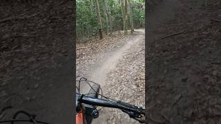 Lysterfield blare witch mountainbike mtbbikes mtb [upl. by Akirre883]