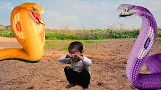 Big yellow snake attack  snake video  saamp wala video [upl. by Guibert]