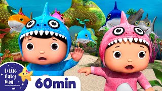 Baby Shark Dance  60 min of LittleBabyBum  Nursery Rhymes for Babies ABCs and 123s [upl. by Gussie]