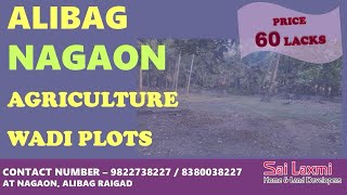 Alibag nagaon farm house plots sales [upl. by Thora]