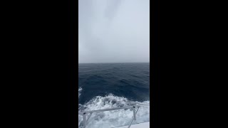 Ocean lightning strike near Jupiter during strong storms [upl. by Eiryk242]