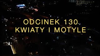 Dobranocka 130 Kwiaty i motyle [upl. by Assenahs]