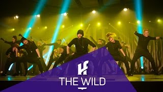 THE WILD  1st Place  Showcase  Hit The Floor Gatineau HTF2015 [upl. by Saxena]