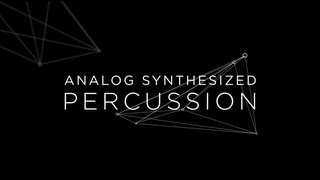 ANALOG SYNTHESIZED PERCUSSION [upl. by Orlina]