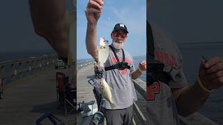 Keansburg Fishing Pier Spot Fish [upl. by Nyliram205]