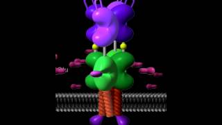 Glutamate receptor Rate My Science [upl. by Trahurn]