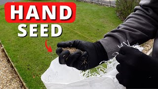 Cheapest Way To Overseed A Patchy Lawn  No Tools [upl. by Eiramave]