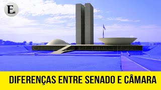 BICAMERALISMO PARA QUE SERVE E COMO FUNCIONA NO BRASIL [upl. by Eimmot]