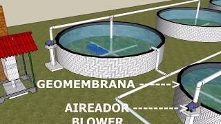 UNIDAD INTENSIVA PARA PISCICULTURA CON ESTANQUES DE GEOMEMBRANA DE 800 MICRAS [upl. by Briant]