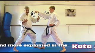 Jion Bunkai Strategies 2024 week 21 koryu karate oyo jutsu [upl. by Sibell]