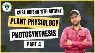 Plant Physiology Class 11 in Odia  Chapter 11 Photosynthesis  Lecture 4 [upl. by Tammy]