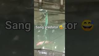 Sang predator sabscribe movie shortvideo Asalasalan channel [upl. by Linzy]