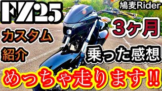 【納車3ヶ月】新型FZ25ここが良かった悪かった‼︎実燃費は？！改造カスタム一挙公開🙇‍♂️キャリアの輸入方法とは…。めっちゃ走ります🤭大学生におすすめの一台‼︎【モトブログ】 [upl. by Eanat259]