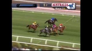 LIGHTNING STAKES 2016  Chautauqua [upl. by Euqcaj569]